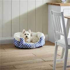 Bunty Deep Dream Dog Bed - Blue